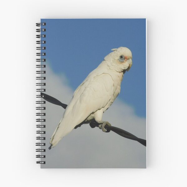 Item preview, Corella ESP designed and sold by Jane Izzy Designs.