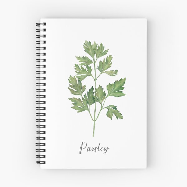 Item preview, Parsley herb illustration. designed and sold by InnaPatiutko.