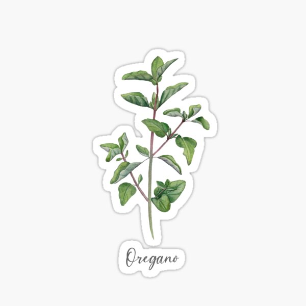 Item preview, Oregano herb art. designed and sold by InnaPatiutko.