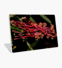 Grevillea caleyi Laptop Skin