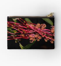 Grevillea caleyi Studio Pouch