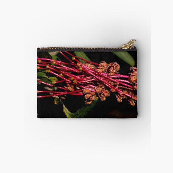 Item preview, Grevillea caleyi designed and sold by andrachne.