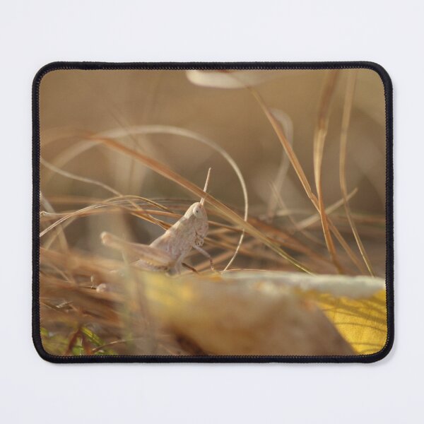 Item preview, Eco nature, eco thinking designed and sold by enot-art-shop.