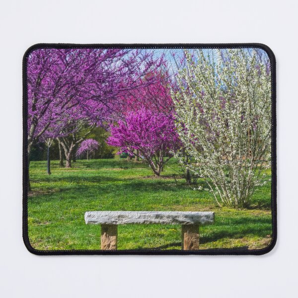 Item preview, Spring Bench Painterly designed and sold by mljdwhite.