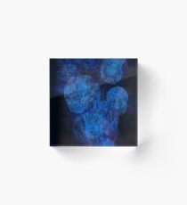 Art, Nature, and Evolution Acrylic Block