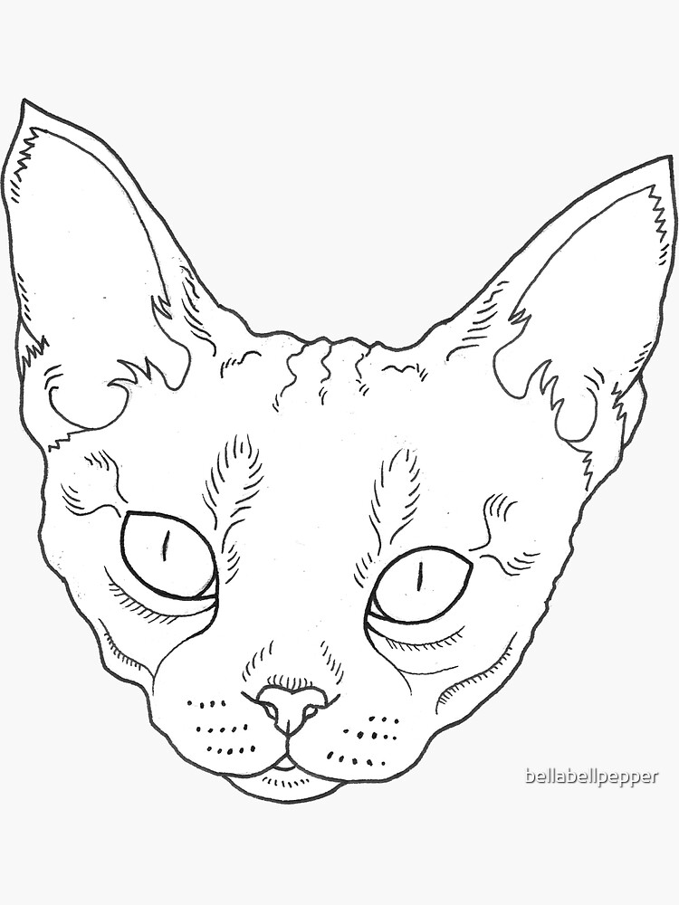 "Devon Rex " Sticker by bellabellpepper Redbubble