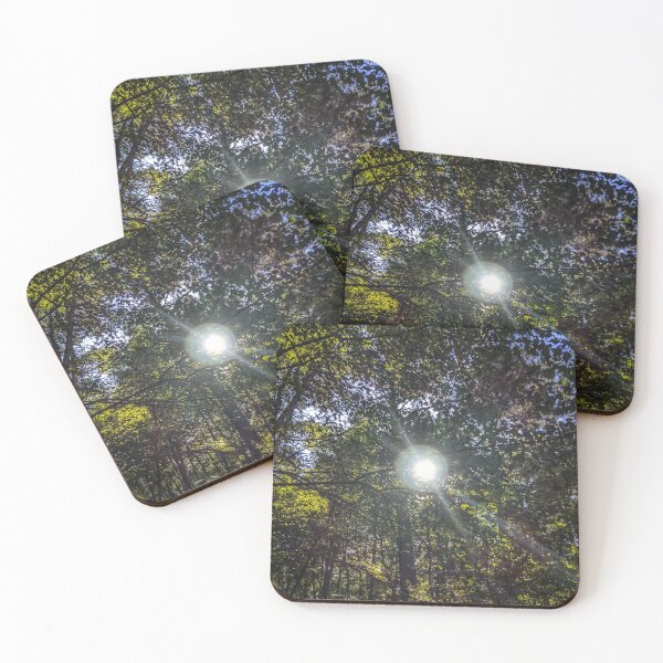 Item preview, Sunshine Through The Treetops designed and sold by Barbara Espinosa.
