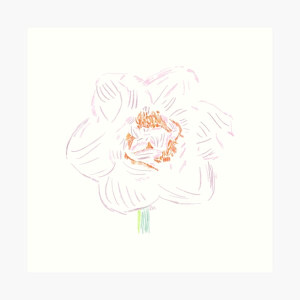 2022 03 flowers 02 narcissus Art Print