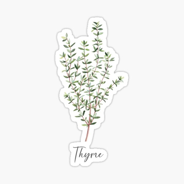 Beige Dried wildflowers  Sticker for Sale by Inna Patiutko