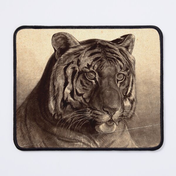 Item preview, The Head of a Tigress (felis Tigris). Etching with Engraving - John Frederick Lewis (1825) designed and sold by Geraldo Garcia.
