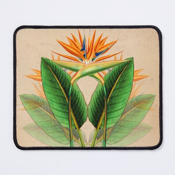 Item preview, Hand drawn Bird of Paradise botanical design designed and sold by MauraHar.