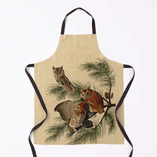 Item preview, Plate 97 Little Screech Owl - John James Audubon (Birds of America 1827-1838) designed and sold by Geraldo Garcia.