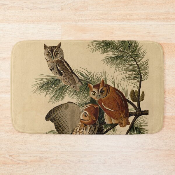 Item preview, Plate 97 Little Screech Owl - John James Audubon (Birds of America 1827-1838) designed and sold by Geraldo Garcia.