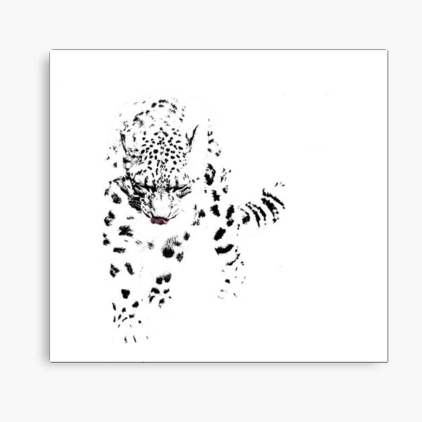Snow Leopard Canvas Print