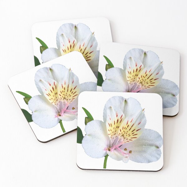 Item preview, alstroemeria flower designed and sold by IgorKovalenko.