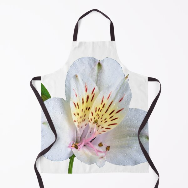 Item preview, alstroemeria flower designed and sold by IgorKovalenko.