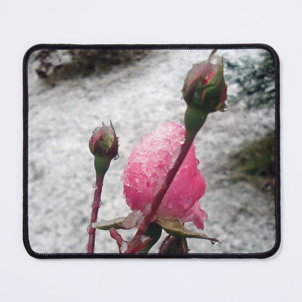 Item preview, winter rose designed and sold by Katsiaryna Babok.