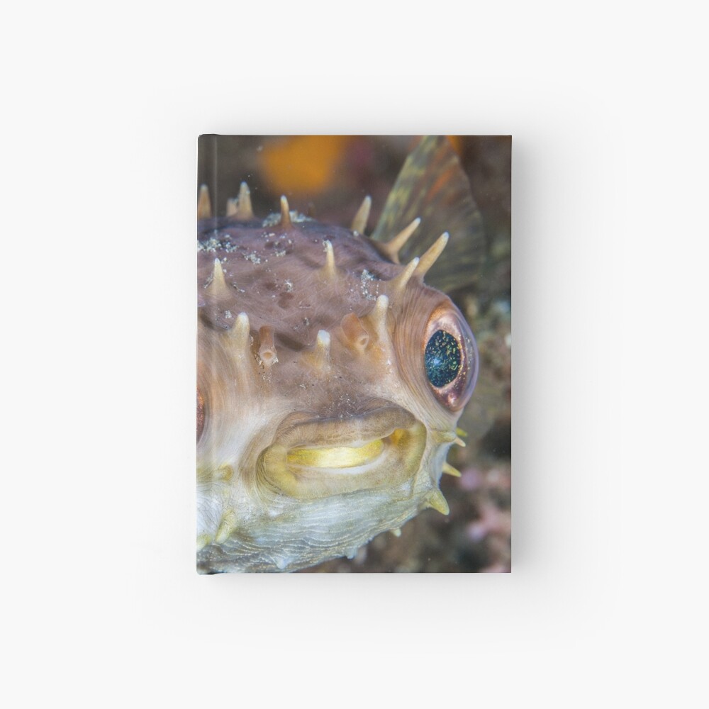 Spikey ball of cuteness Hardcover Journal