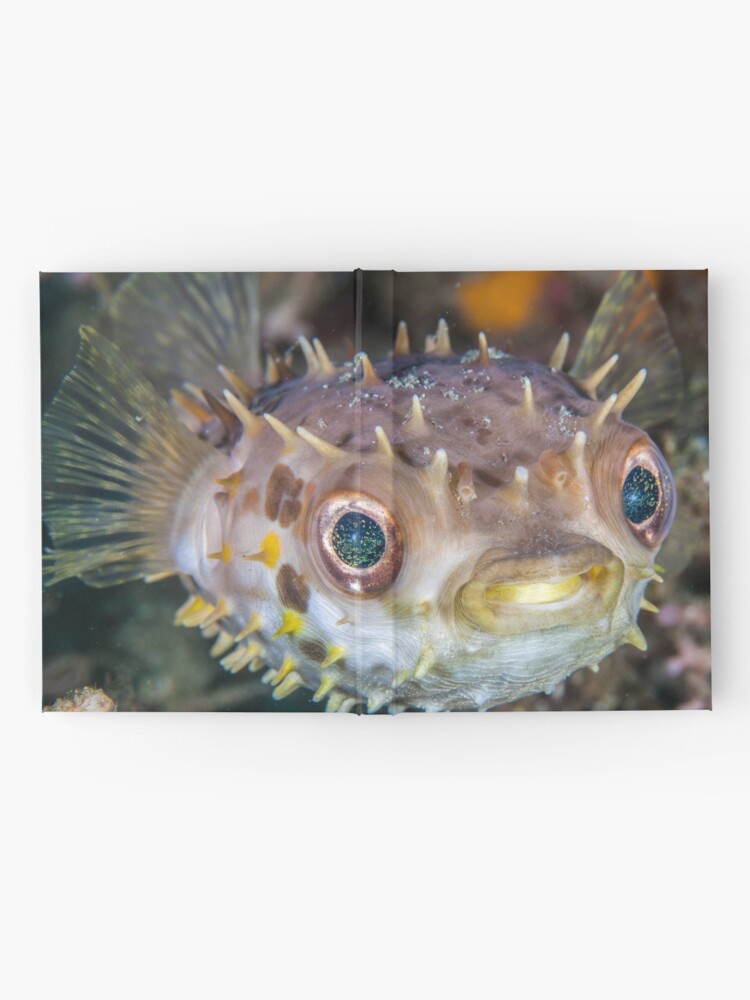 Alternate view of Spikey ball of cuteness Hardcover Journal