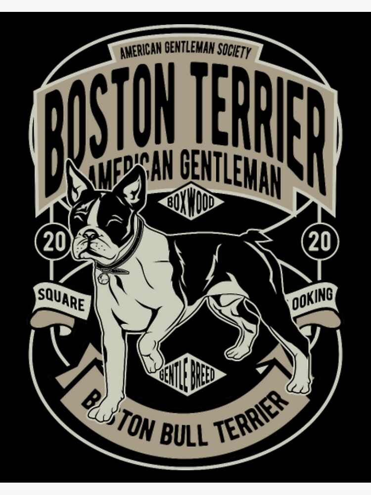 Disover Boston terrier Premium Matte Vertical Poster