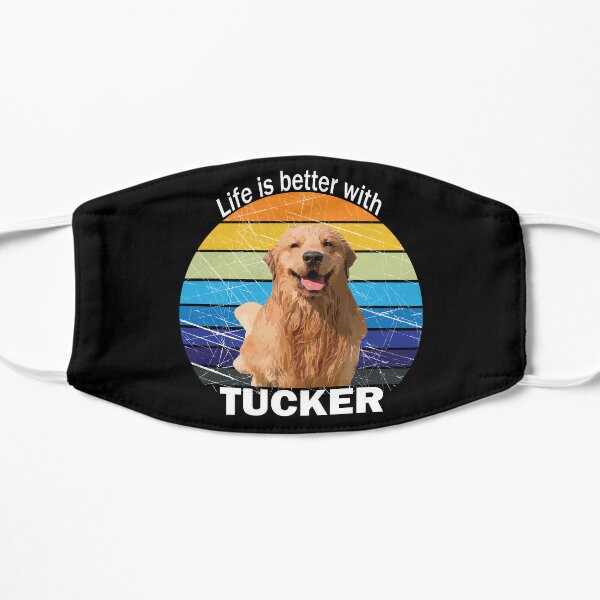 Tucker, bernese mountain dog - Dog Photo Contest