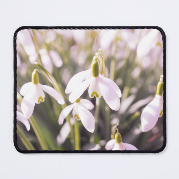 Item preview, Campanillas de invierno rosadas que predicen la primavera - Patrones de la naturaleza designed and sold by MSistersDesigns.