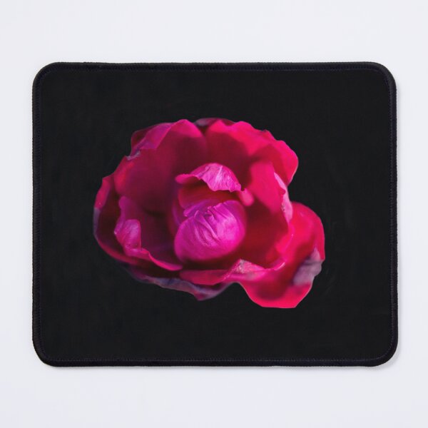 Item preview, Floating wilting rose 1 designed and sold by Sonja Martin Photography.