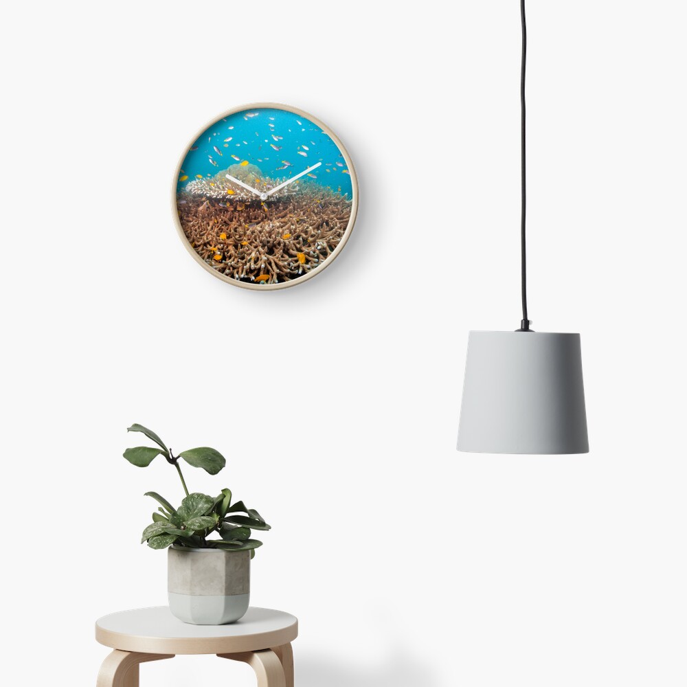 Home in the candelabra Clock