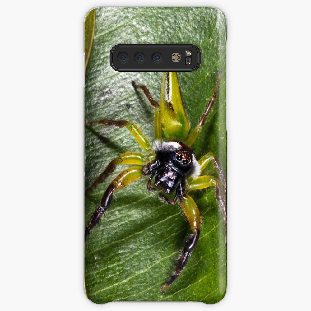 Jumping spider Case & Skin for Samsung Galaxy