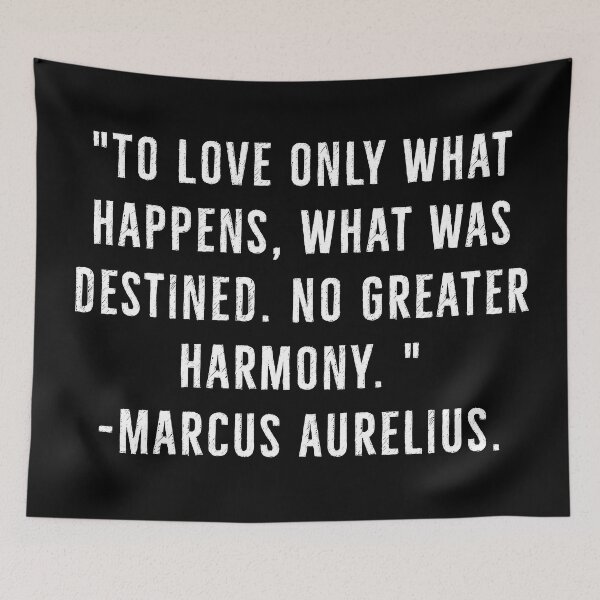 Item preview, Love Your Destiny In Harmony - Marcus Aurelius designed and sold by PhilosophyWear.