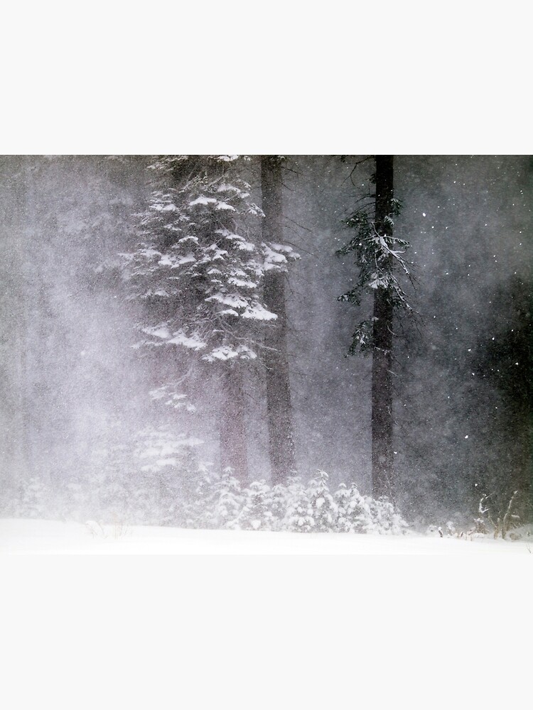 Snow Storm by FromHereOnIn
