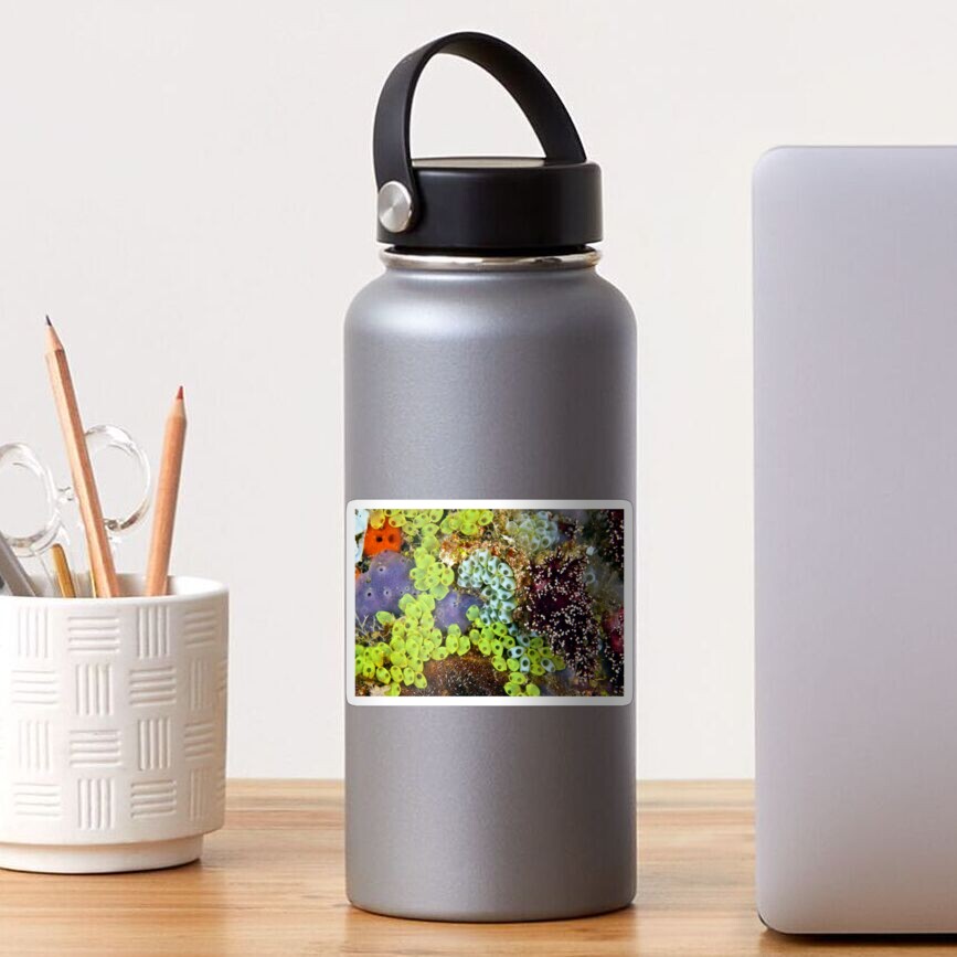 Potpourri Sticker