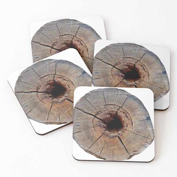 Item preview, cross section of the tree  designed and sold by IgorKovalenko.