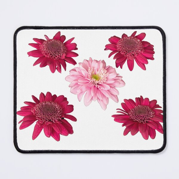 Item preview, aster flower designed and sold by IgorKovalenko.