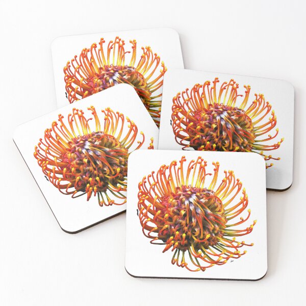 Item preview, Leucospermum flower  designed and sold by IgorKovalenko.