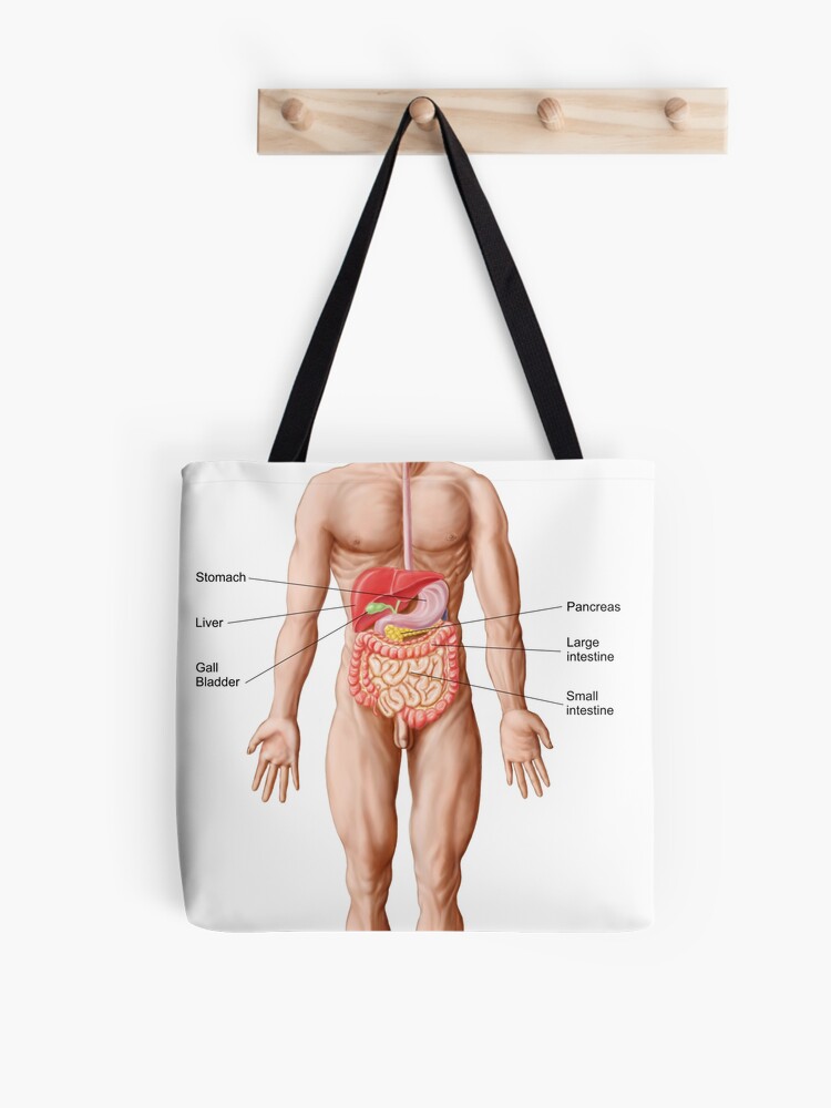 Anatomy of human pelvic bone. Tote Bag for Sale by StocktrekImages