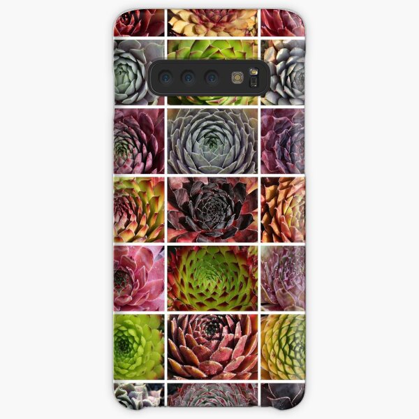 Sempervivum Collage - Houseleek - Houseleek Samsung Galaxy Snap Case