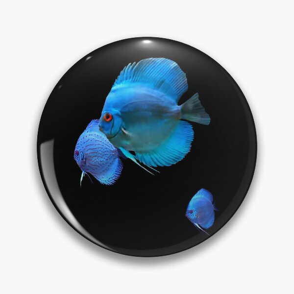 Item preview, COBALT BLUE DISCUS FISH designed and sold by Danicus666.