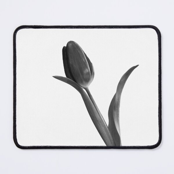 Item preview, Single tulip designed and sold by Sonja Martin Photography.