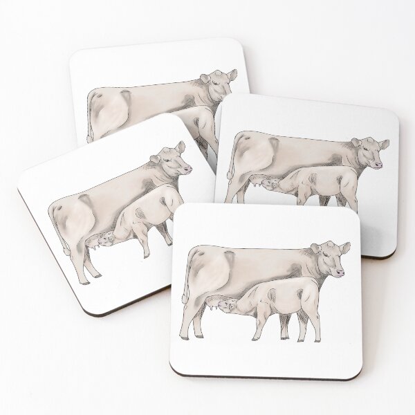 Item preview, Charolais - Cow Calf Pair designed and sold by mwinter2205.
