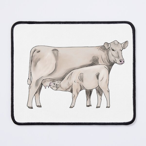 Item preview, Charolais - Cow Calf Pair designed and sold by mwinter2205.