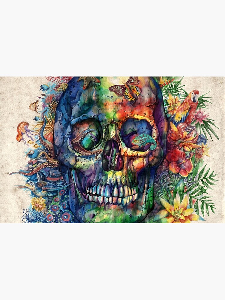 skull by BekimART