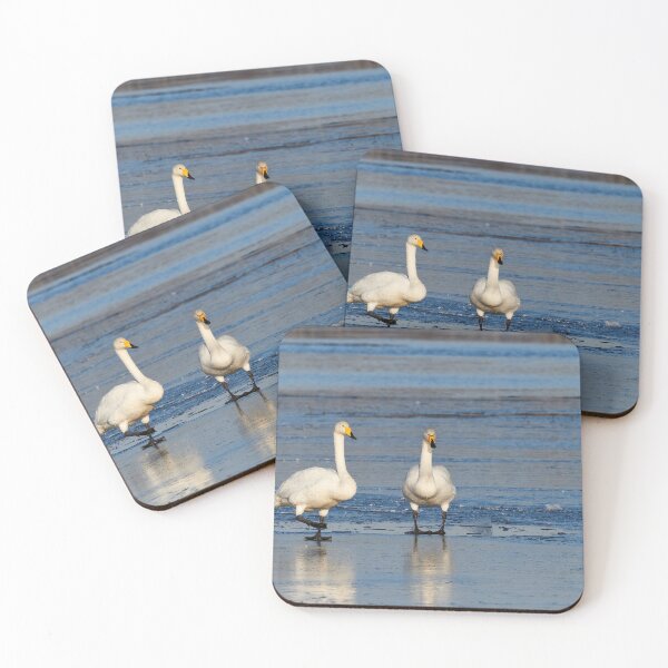 Item preview, The colors of Finland. Whooper Swan designed and sold by Jouko Lehto Photography.