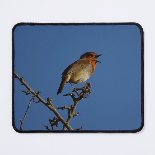 Item preview, The Spring Robin designed and sold by GingerMan2550.