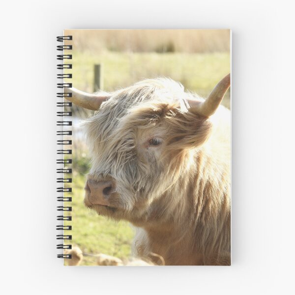 Item preview, Highland Cow designed and sold by rwhooster.
