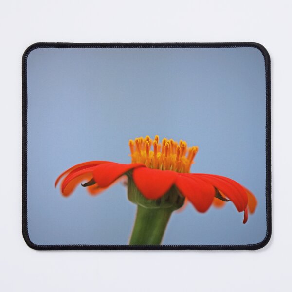 Item preview, Activate Change designed and sold by Michiale.