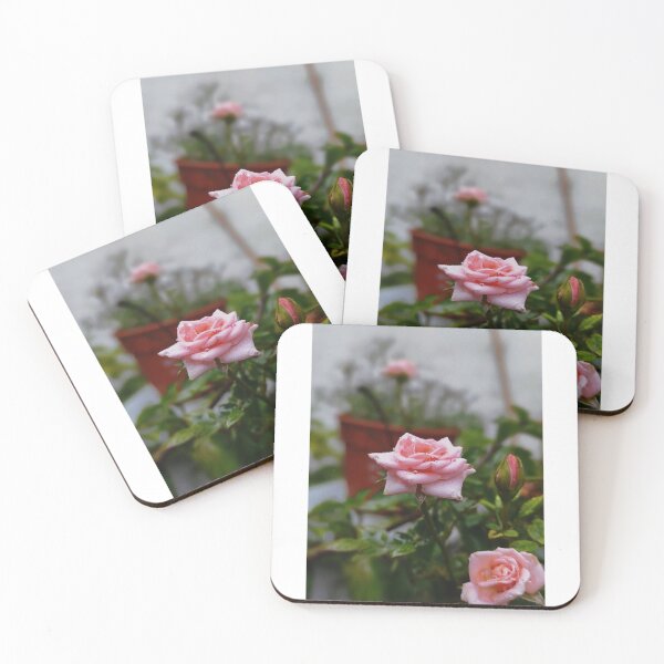 Item preview, Pink rose designed and sold by saravana.