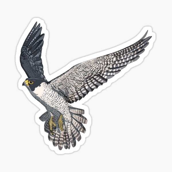 Item preview, Vogel Fliegender Wanderfalke designed and sold by alwe-designs.