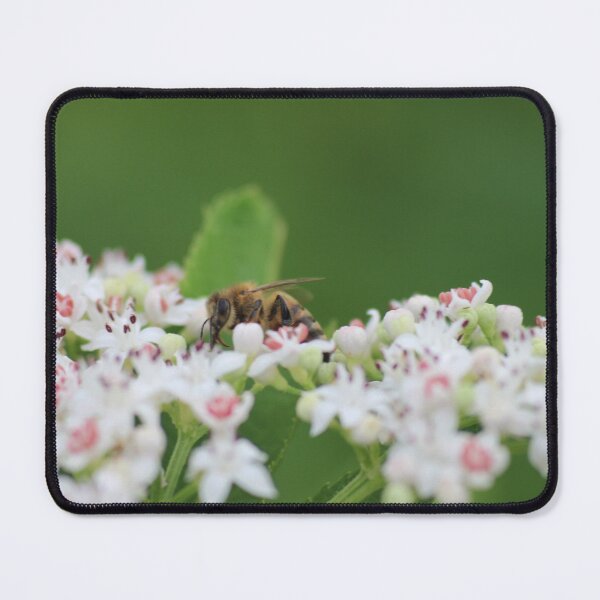 Item preview, bee eco print designed and sold by enot-art-shop.