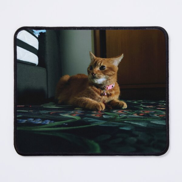 Item preview, Orange kitten designed and sold by saravana.